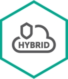 Kaspersky Hybrid Cloud Security for Server Basis 1 jaar