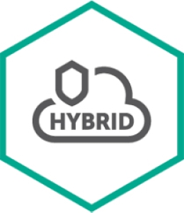 Kaspersky Hybrid Cloud Security for Server Basis 1 jaar