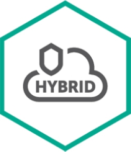 Kaspersky Hybrid Cloud Security Hernieuwing 36 maand(en)