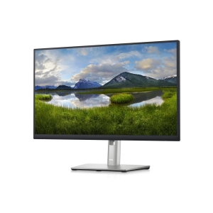 DELL P Series 24 inch QHD Monitor - P2423D