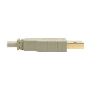 Tripp Lite U022-010-BE USB-kabel 3,1 m USB 2.0 USB A USB B Beige