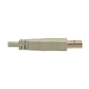 Tripp Lite U024-006-BE USB-kabel 1,8 m USB 2.0 USB A Beige